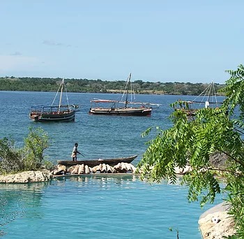 Lazy Lagoon at Charlie Claw's on Wasini Island