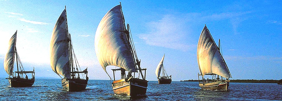 Dhow sailing in the Indian Ocean