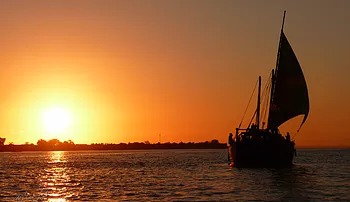 dhow sailing at sunset
