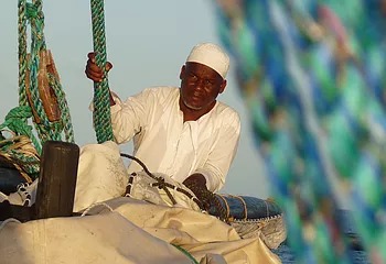 a trader dhow sailing