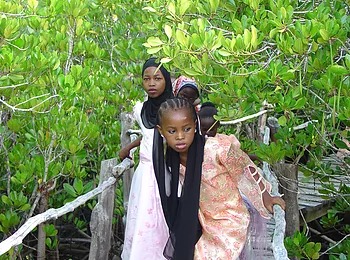 locals taking a stroll on the Wasini Womens Boardwalk