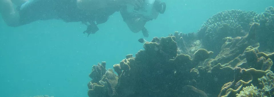 scuba-diving-slide3